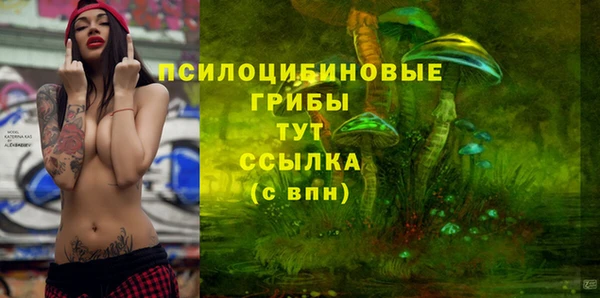 MDMA Premium VHQ Бородино
