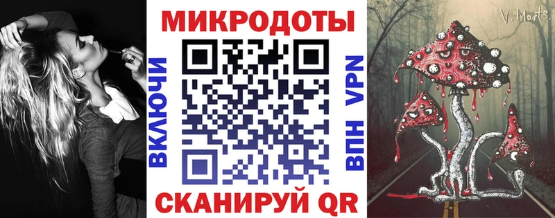 Купить  Большой Камень  Псилоцибиновые грибы Psilocybine cubensis 
