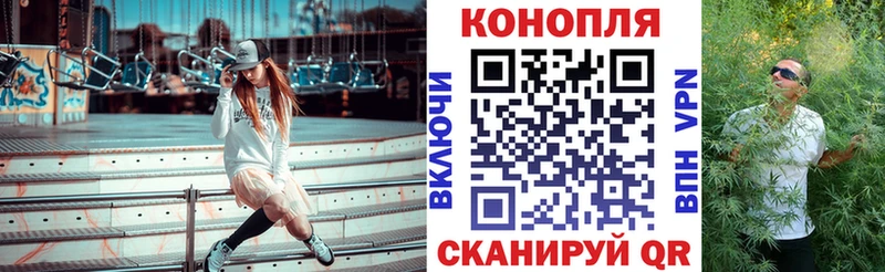 Канабис Amnesia  Купить где  Большой Камень 